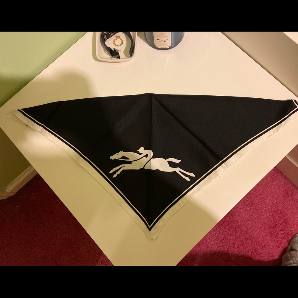 Longchamp Scarf / Twilly / Bandana